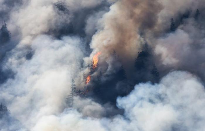 Die Waldbrände in Kanada im Jahr 2023 emittieren viermal mehr als die jährlichen Flugzeugemissionen