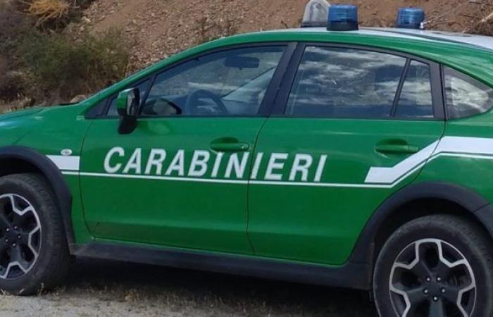 Illegale Mülldeponie in Reggio Calabria entdeckt: 5 Vorsichtsmaßnahmen