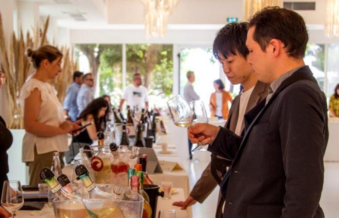 Von Japan, China und den Vereinigten Staaten aus, um die Weine der Abruzzen zu entdecken, die vom Konsortium organisierten Veranstaltungen