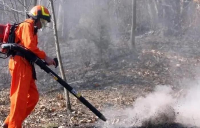Brandgefahr, ab dem 1. Juli gilt in der gesamten Toskana das Verbot des Anzündens von Feuer