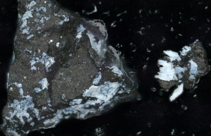 NASA entdeckt Bestandteile des Lebens auf Asteroiden Bennu!