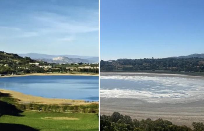 Dürre trocknet den Pergusa-See aus. Legambiente Sizilien: „Dynamik beschleunigt durch die völlige Unaufmerksamkeit und Trägheit der Körper“
