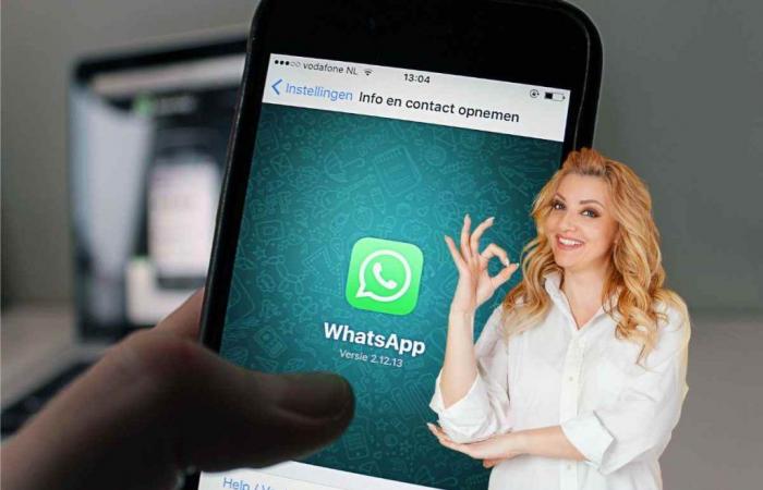 WhatsApp, auf Wiedersehen, Verzögerungen beim Teilen wichtiger Inhalte: der Nachrichten