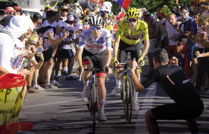 Wer gewinnt die Tour de France 2024? Kopf-an-Kopf-Rennen mit Pogacar Vingegaard: Quoten