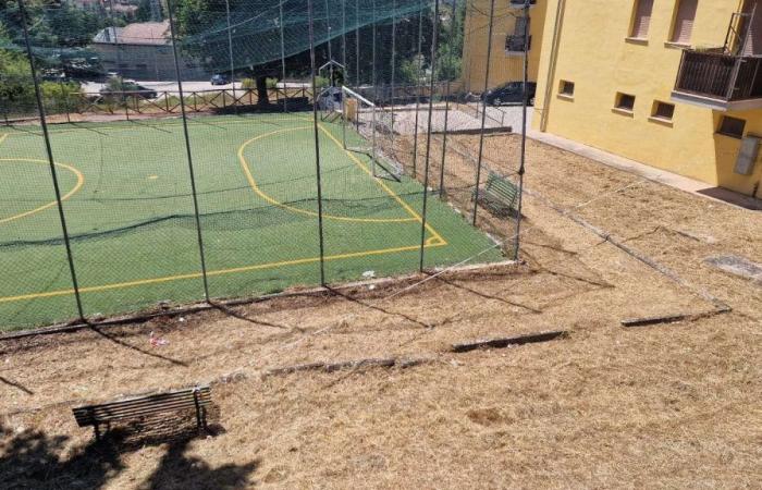 L’Aquila, die Stadträte von Il Passo Possibile stellen eine dringende Frage zur Schließung des Torrione-Fußballplatzes