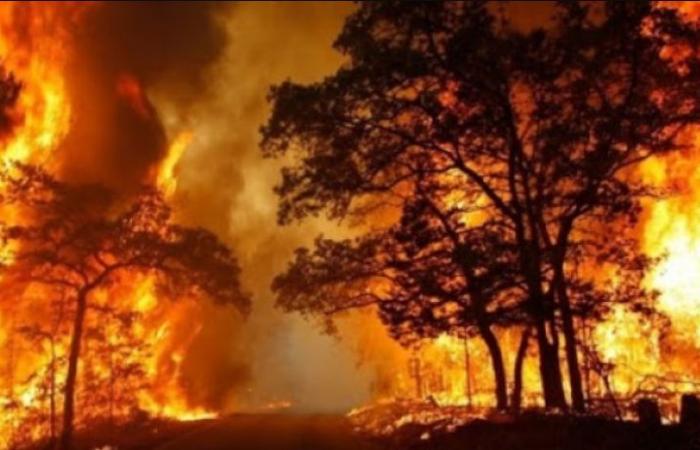 Großbrand in Albidona. Drei Tage voller Flammen und Angst