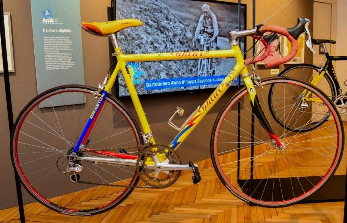 Alessandria feiert die Tour de France mit einer Hommage an Marco Pantani