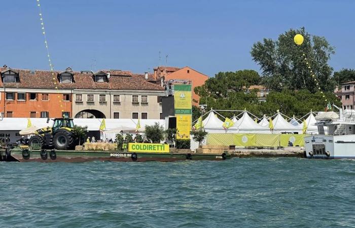 Hergestellt in Latium und seine Exzellenz präsentiert im Coldiretti Village in Venedig mit Unternehmen aus unserer Region