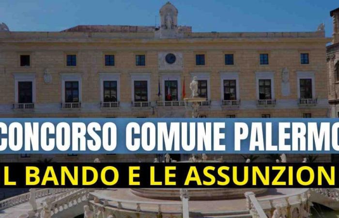 Sizilien, Wettbewerbe in den Gemeinden Palermo und Monreale: Einstellung verschiedener Figuren | Hier geht es zur Ausschreibung und zur Bewerbung – Younipa
