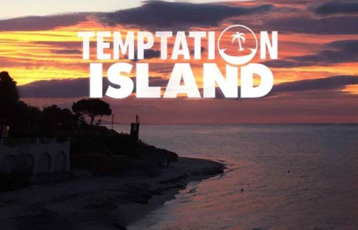 Temptation Island, das Model, der Unternehmer und der Ingenieur: Wer sind die (schönen) Verführerinnen?