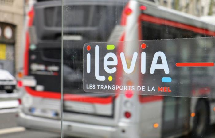 Der Durchgang der Flamme durch einen Verkehrsstreik in der europäischen Metropole Lille unterbrochen?