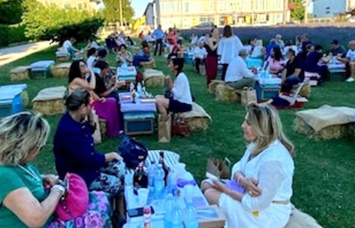 Über 150 Personen beim Picknick im Lavendelfeld für die Gynäkologieabteilung