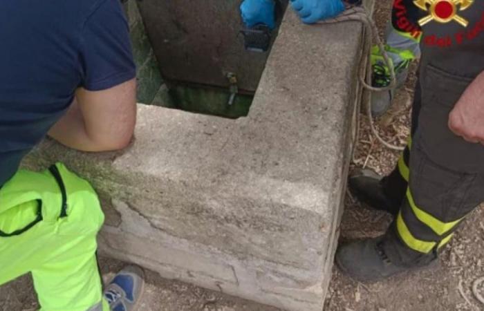 Kind tot im Brunnen, neun Verdächtige, darunter 8 Freiwillige, der Erzieher: „Ich hatte ihn fast erreicht“