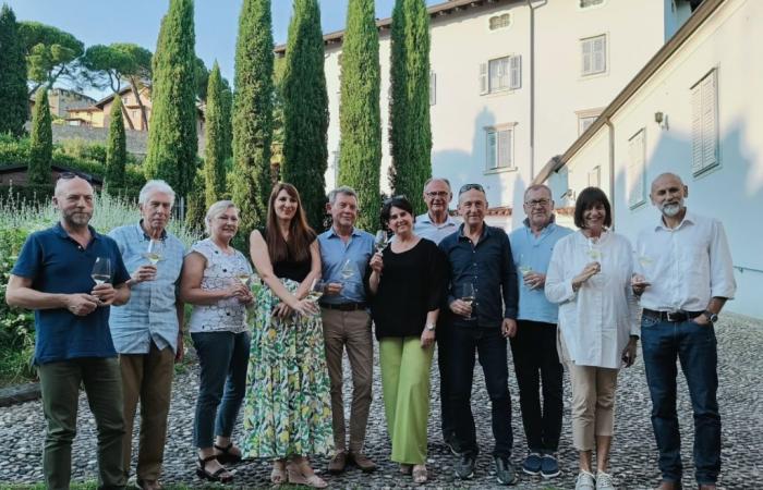 In Gorizia die Verkostungen von Sorsi Solidaria, der Wettbewerb mit 15 Weinen aus Italien und Spanien • Il Goriziano