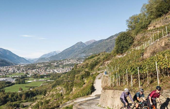 Mit dem Fahrrad auf Landstraßen eine Tour zwischen Gipfeln und Weinbergen, um das mittlere und untere Veltlin zu entdecken