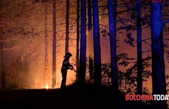Waldbrände in der Emilia-Romagna sind bis zum 15. September in der Alarmphase
