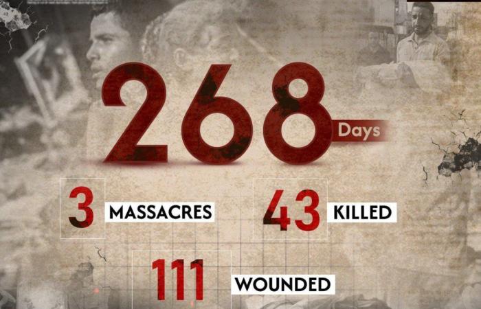 Israelisch-amerikanischer Völkermord in Gaza: 268. Tag. Aktuelle Zahl: 37.877 Tote und 86.969 Verletzte