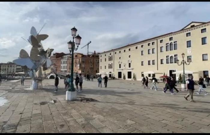 Drei Jahre Ca’ di Dio: Venedig, aber auch seine Lagune – Gazzetta Jonica