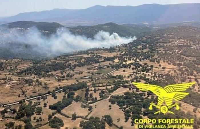 Heute 13 Brände auf Sardinien: Hubschrauber in Nuoro, Osidda und Nurri | Nachricht