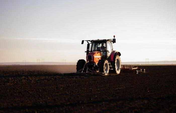 Ankündigung der PNRR-Agrarunternehmen in der Region Latium: viel Geld für nichts