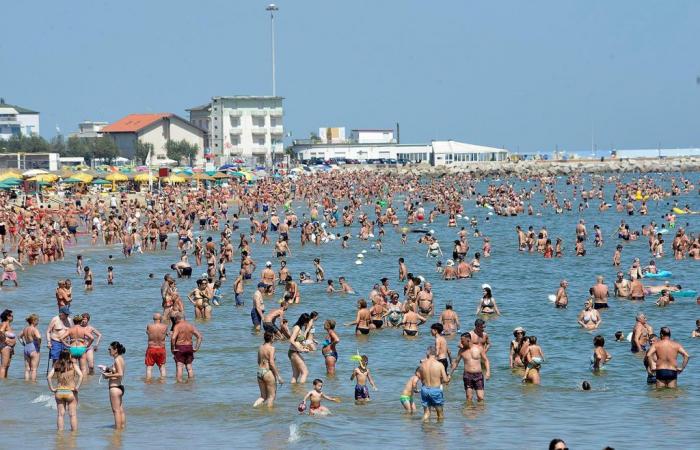 Pesaro, es lebe die Hitze und der Basketball. Rekordsaison, Motor des Tourismus: „Millioneneinnahmen“