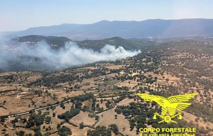 Heute 13 Brände auf Sardinien: Hubschrauber in Nuoro, Osidda und Nurri | Nachricht