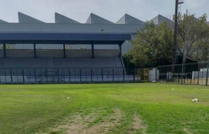 Legnano-Fußball. Bragato: „Wir warten auf die richtige Einigung“