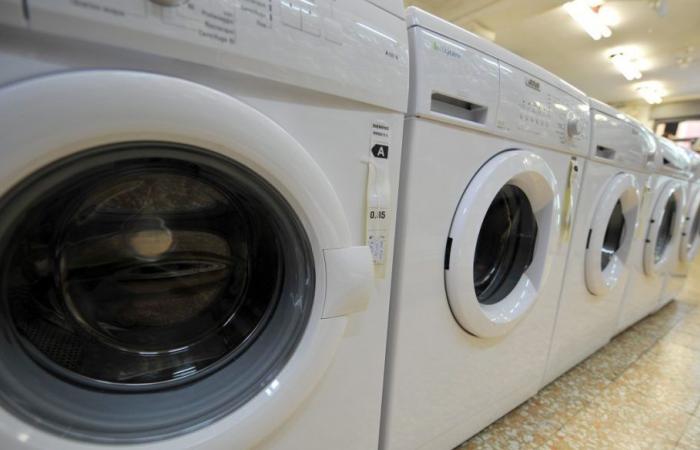 Ökogeräte-Bonus, bis zu 200 Euro Rabatt für neue Waschmaschinen und Kühlschränke