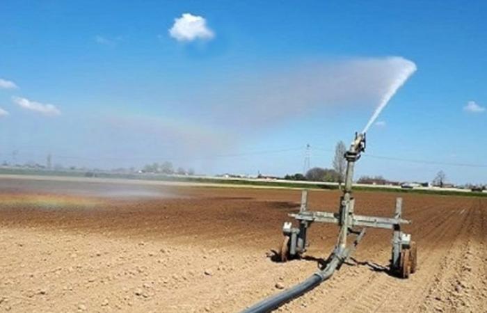 Dürre, die erste „Rettungsbewässerung“ wird in der Gegend von Agrigent ausgelöst, aber ausgeschlossene Landwirte protestieren