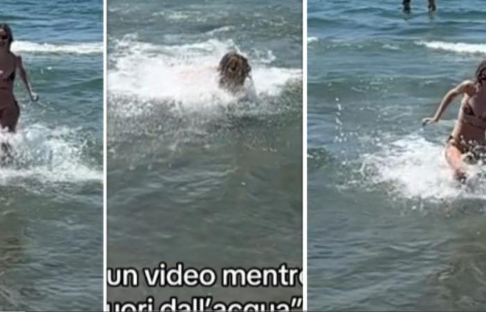 „Machen Sie ein Video von mir, wie ich aus dem Wasser renne.“ Was als nächstes passiert, ist viral