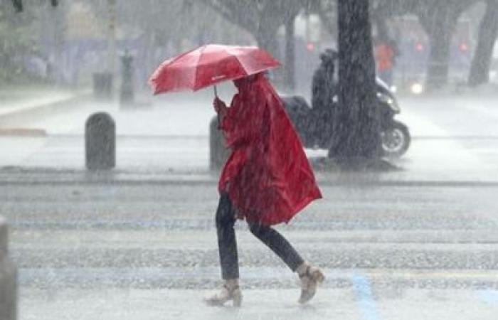 Schlechtes Wetter im Norden, heute, 1. Juli, Gewitterwarnung in Emilia, Friaul und Venetien | Heute Treviso | Nachricht