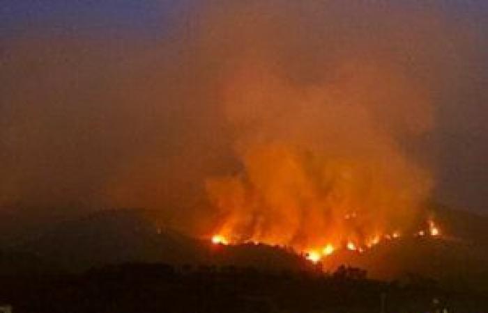 Palermo ist Epizentrum der Waldbrände in Italien im Jahr 2023