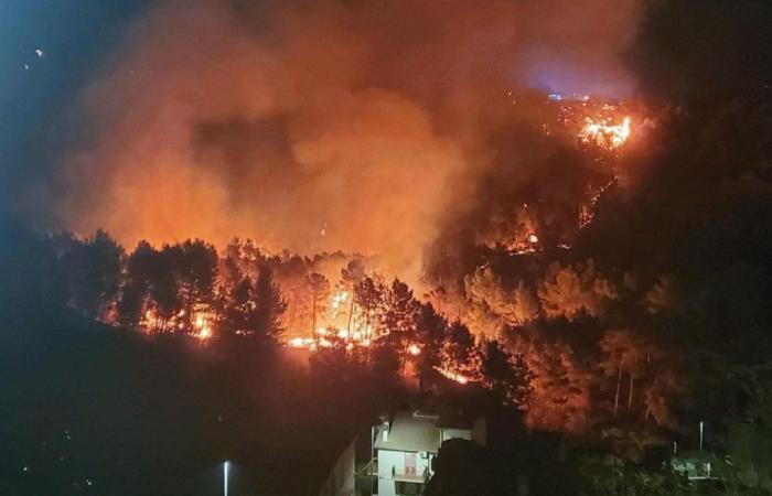 Brände: Kalabrien gehört zu den beiden Regionen, die im Jahr 2023 am stärksten von Flammen betroffen sind