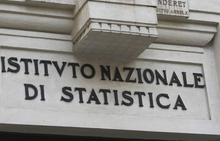 Öffentliche Lesebibliotheken in Italien: das Istat-Foto – Wirtschaft und Finanzen