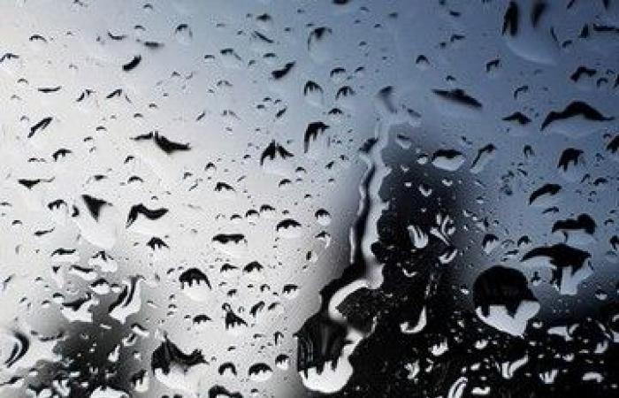 Gelbe Wetterwarnung für Regen ab 20 Uhr am 1. Juli für Andria und die Fledermaus