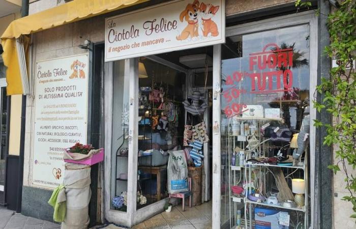 Loano, Diebstahl aus dem Laden „La Ciotola Felice“: Die Brieftasche mit dem Erlös wurde gestohlen, Beute von 2.500 Euro