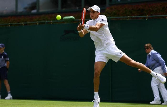 Wimbledon 2024: Sinner, Berrettini und sieben weitere Italiener heute auf dem Platz