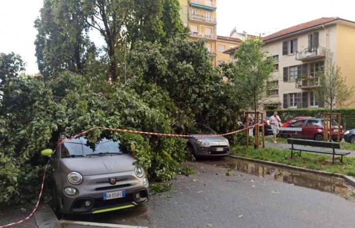 Regen, starker Wind, Hagel und umgestürzte Bäume trafen die Stadt – Turin heute