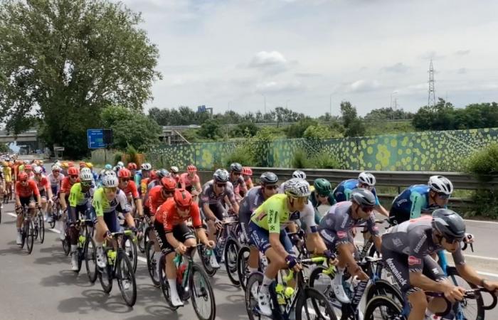 Begeisterung und Teilnahme der Alexandriner an der Tour de France