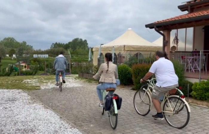 Die Toskana, die Hauptstadt der Bauernhäuser, Lucca auf dem Weg zu einem rekordverdächtigen Jahr 2024