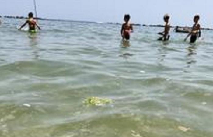 Pescara, Badegäste im Wasser auch mit Schleimstoffen