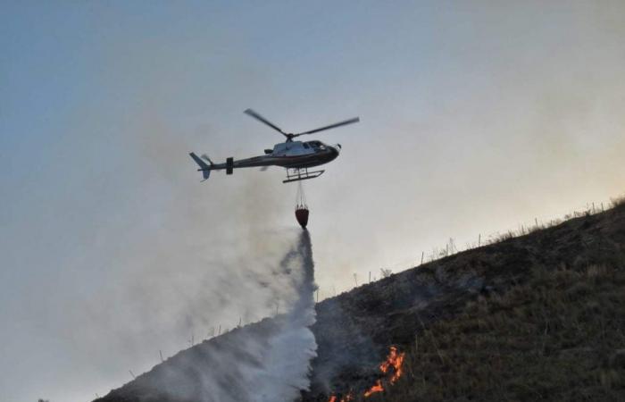 Waldbrände nehmen im Jahr 2023 im Vergleich zu 2022 zu