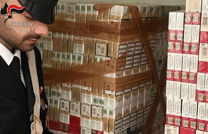 Wiederherstellung der Operation, Drogenhandel sowie Einfuhr und Verkauf von Schmuggeltabak in Bisceglie: 13 Festnahmen Video