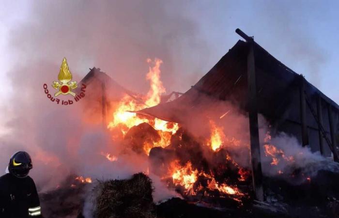 Bei einem Brand in Tolfa greifen Feuerwehrmannschaften ein
