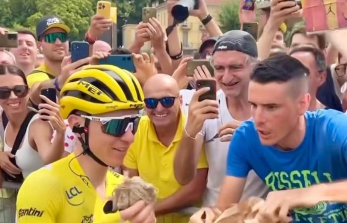 Tour de France: Die Sieger in Piacenza? Lorenzo Casella und Filippo Cordani, die Jungs des Dop Cup, der Pogacar verliehen wurde!