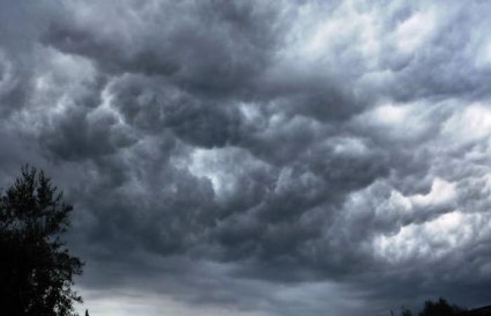 Im gesamten Veneto ziehen Gewitter auf | Heute Treviso | Nachricht