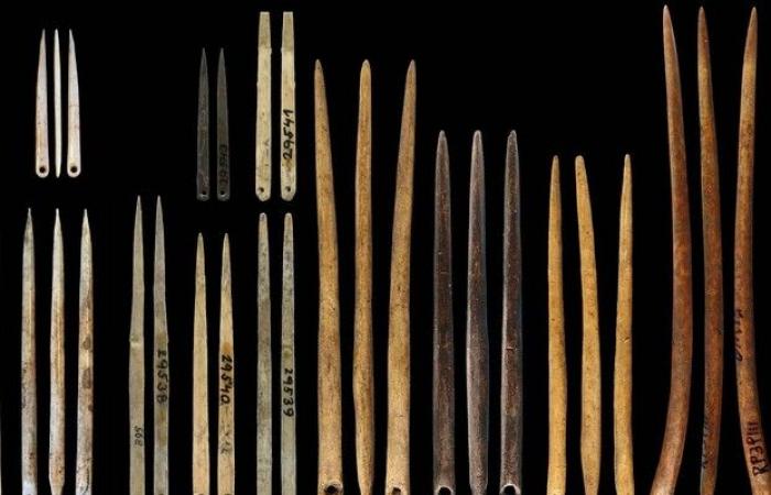 Die Mode wurde im Paläolithikum mit den ersten Nadeln zum Dekorieren geboren – News