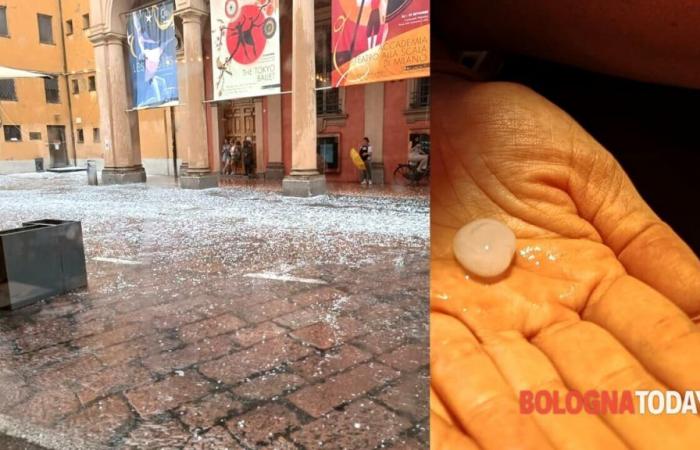 Wasserbombe mit Hagelsturm in Bologna, neue Stürme erwartet