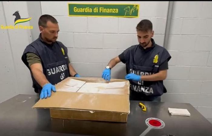 Die Finanzpolizei von Varese beschlagnahmt über 6 Tonnen Drogenausgangsstoffe