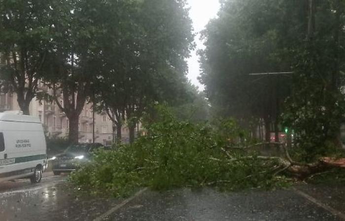 Katastrophenzustand im Piemont, 25 Millionen Euro Schaden. Tornado über Turin – Turin News